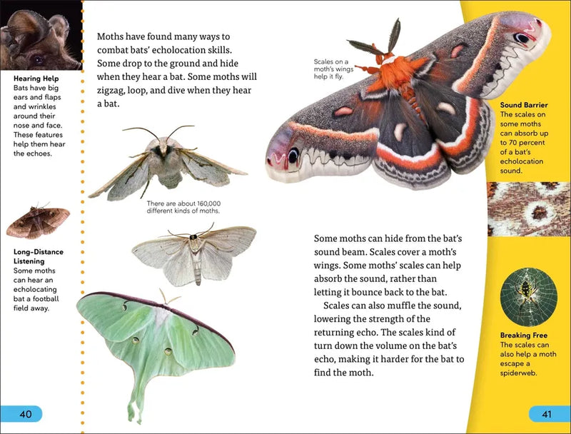 DK Super Readers Level 4 Predator and Prey US - Hardback