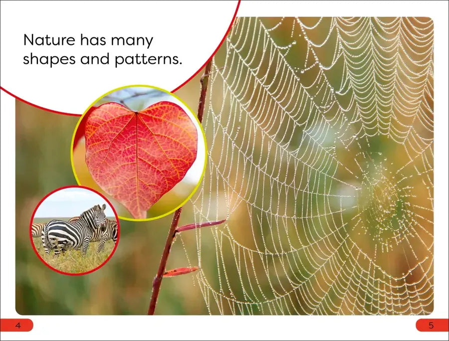 DK Super Readers Pre-Level Shapes and Patterns in Nature US - Hardback