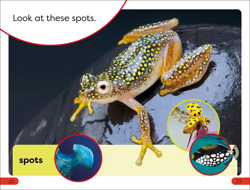 DK Super Readers Pre-Level Shapes and Patterns in Nature US - Hardback