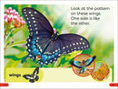 DK Super Readers Pre-Level Shapes and Patterns in Nature US - Paperback / softback