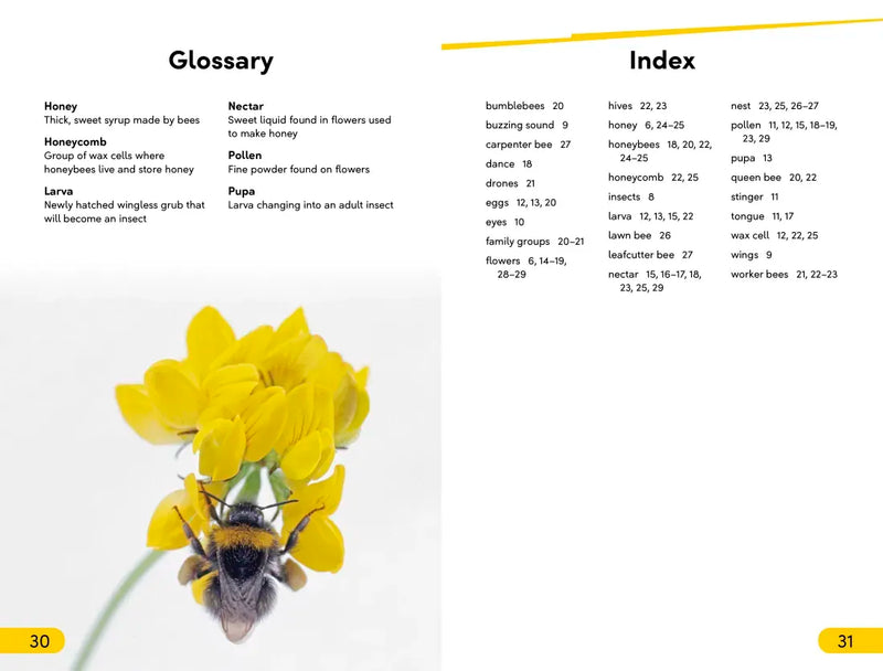 DK Super Readers Level 2 Amazing Bees US - Hardback