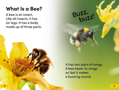 DK Super Readers Level 2 Amazing Bees US - Paperback / softback
