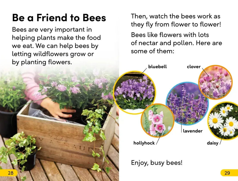 DK Super Readers Level 2 Amazing Bees US - Paperback / softback