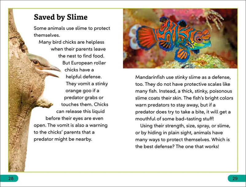 DK Super Readers Level 3 Animal Defenses US - Hardback