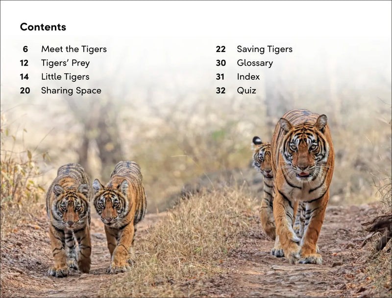 DK Super Readers Level 2 Save the Tigers US - Hardback