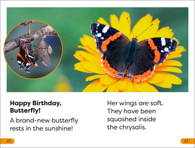 DK Super Readers Level 1 Becoming a Butterfly US - Hardback