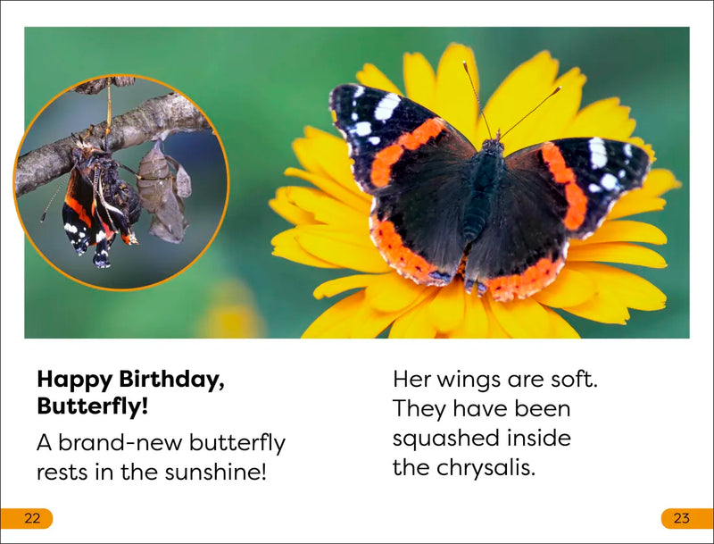 DK Super Readers Level 1 Becoming a Butterfly US - Hardback