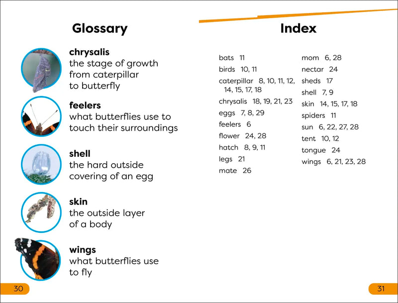 DK Super Readers Level 1 Becoming a Butterfly US - Hardback