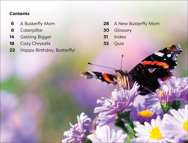 DK Super Readers Level 1 Becoming a Butterfly US - Paperback / softback