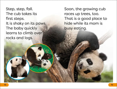 DK Super Readers Level 1 Save the Pandas US - Hardback