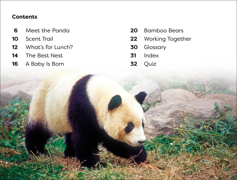 DK Super Readers Level 1 Save the Pandas US - Hardback
