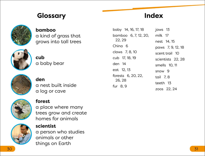 DK Super Readers Level 1 Save the Pandas US - Paperback / softback