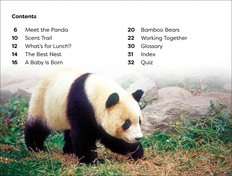 DK Super Readers Level 1 Save the Pandas US - Paperback / softback