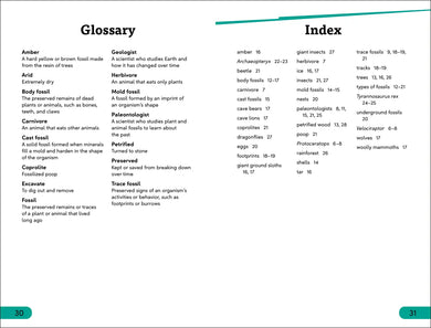 DK Super Readers Level 3 Fossils US - Hardback