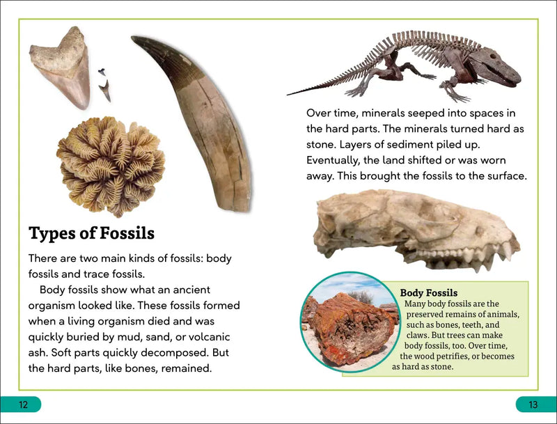 DK Super Readers Level 3 Fossils US - Paperback / softback