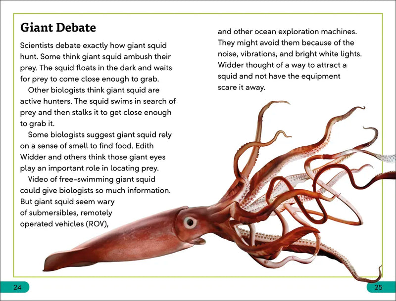 DK Super Readers Level 3 Giant Squid US - Hardback