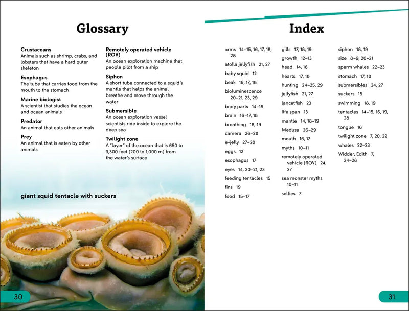 DK Super Readers Level 3 Giant Squid US - Hardback