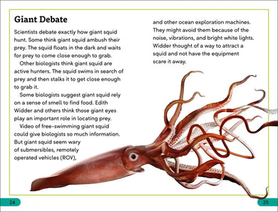 DK Super Readers Level 3 Giant Squid US - Paperback / softback
