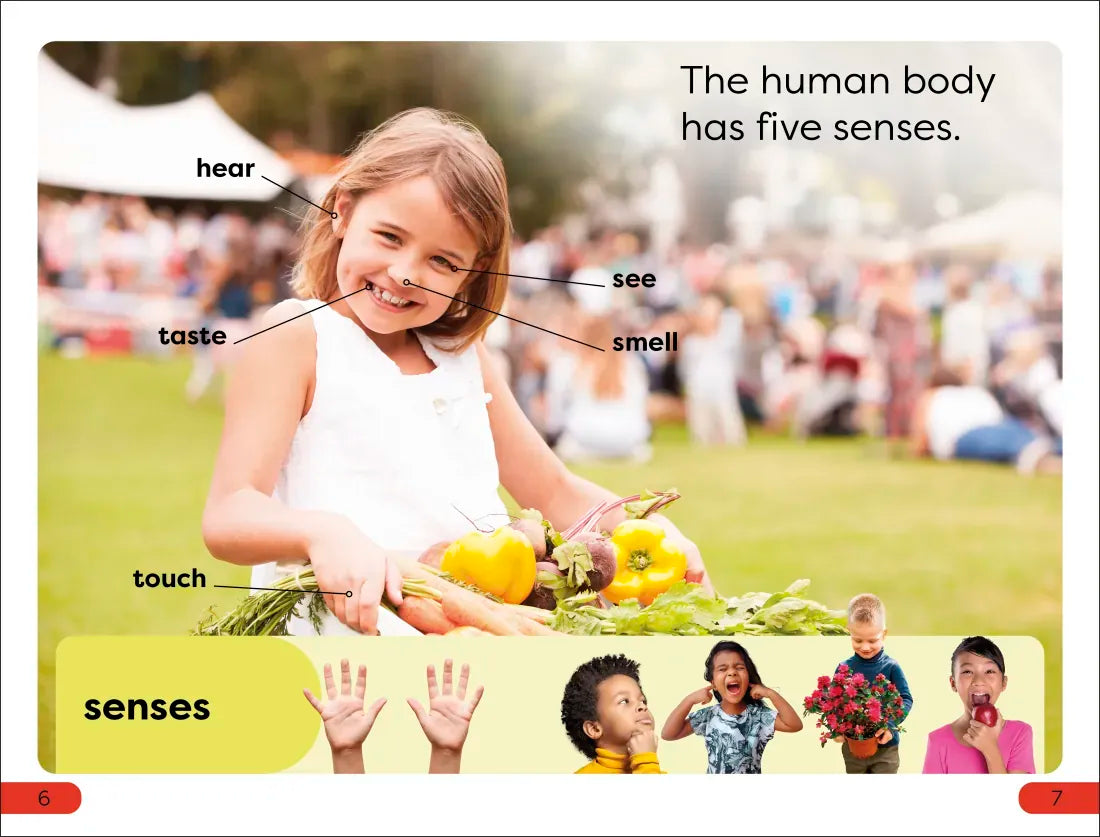 DK Super Readers Pre-Level Five Senses US - Hardback
