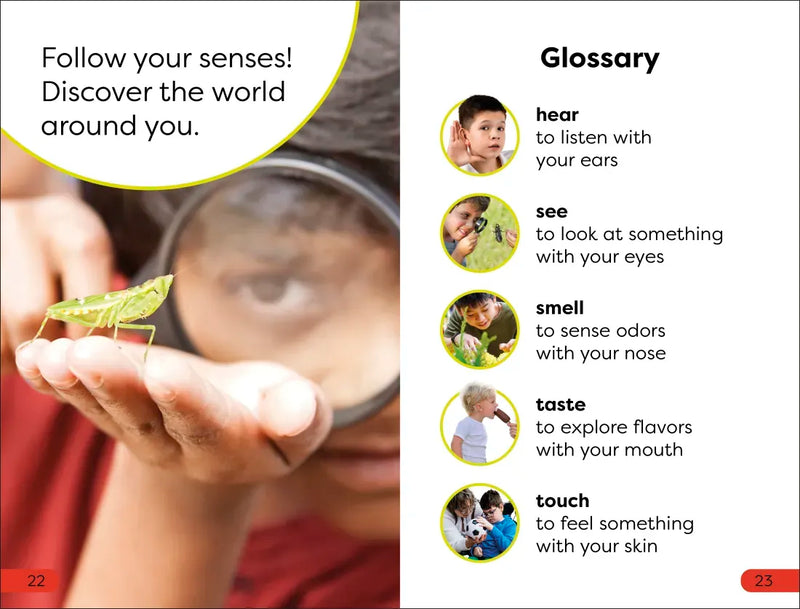 DK Super Readers Pre-Level Five Senses US - Hardback