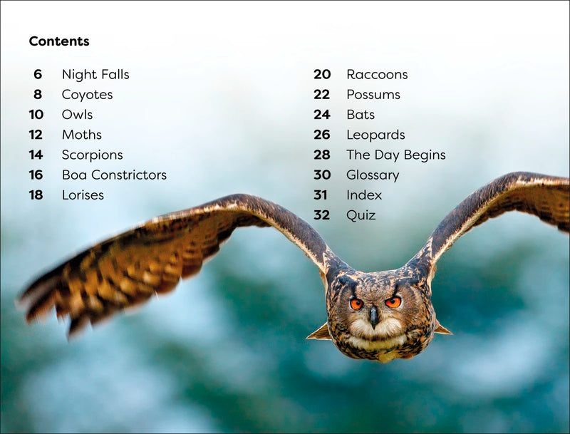 DK Super Readers Level 1 Nighttime Animals US - Paperback / softback