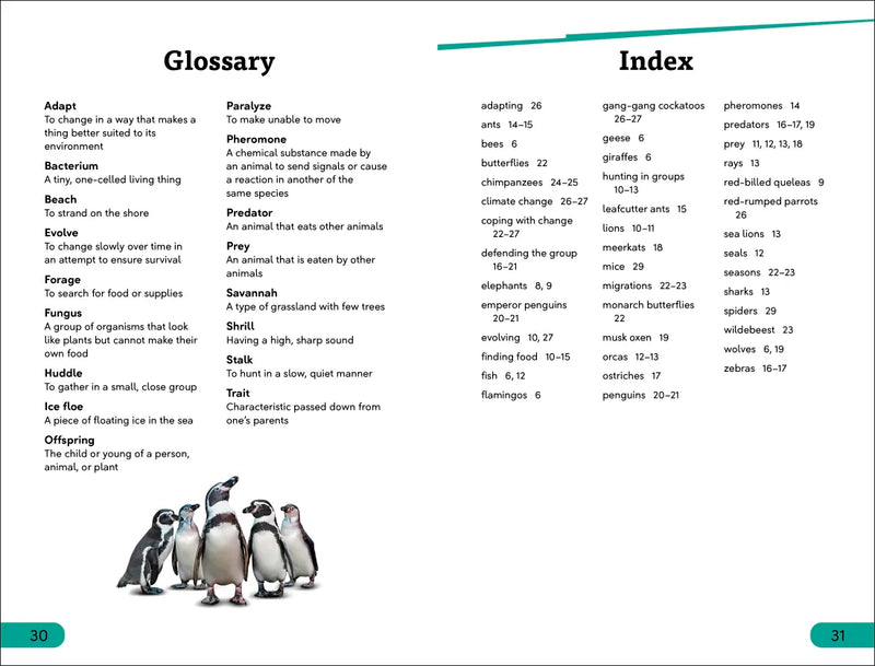 DK Super Readers Level 3 Wild Animal Groups US - Paperback / softback