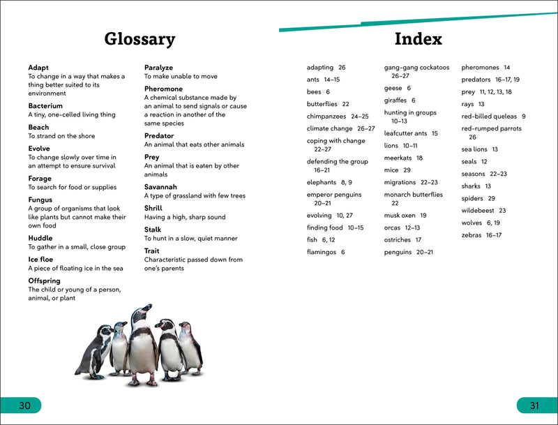 DK Super Readers Level 3 Wild Animal Groups US - Hardback