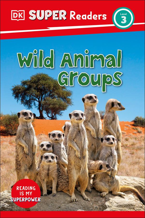 DK Super Readers Level 3 Wild Animal Groups-Children’s Educational: Language/ literature/ literacy-買書書 BuyBookBook
