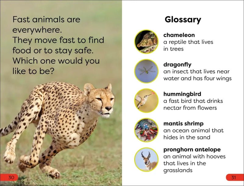 DK Super Readers Pre-Level Fast Animals US - Hardback