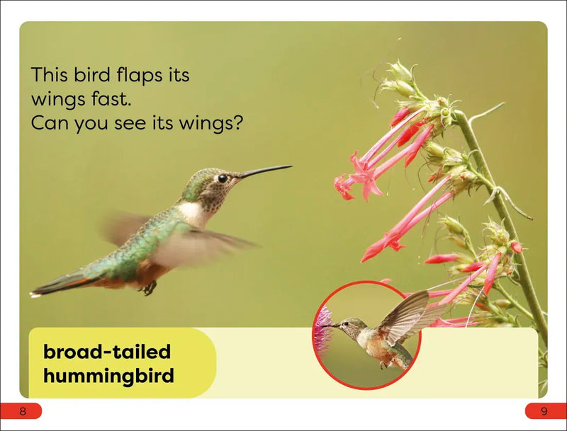 DK Super Readers Pre-Level Fast Animals US - Paperback / softback