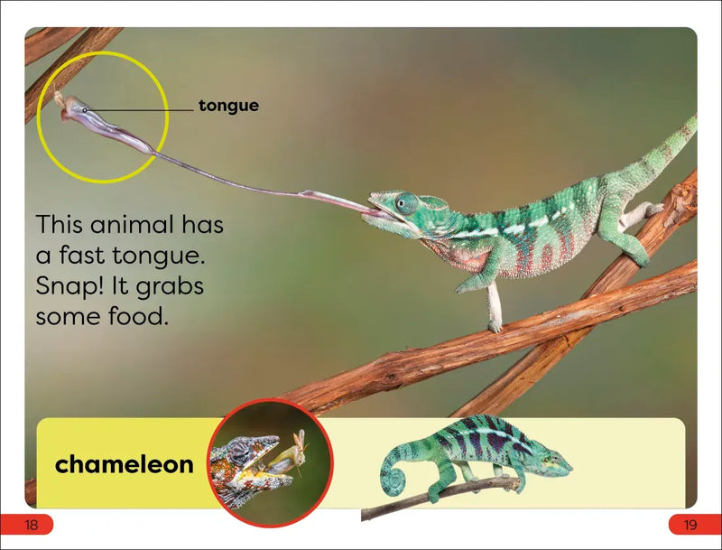 DK Super Readers Pre-Level Fast Animals US - Paperback / softback