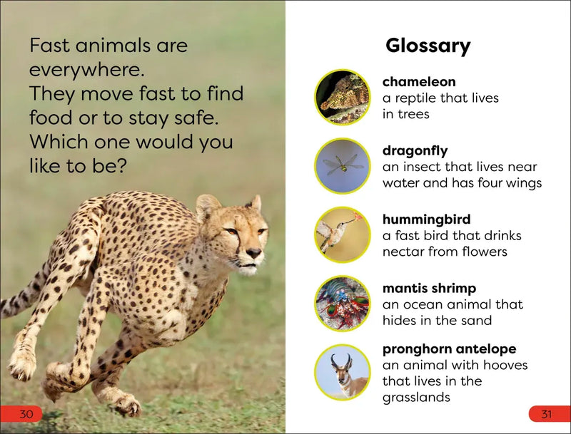 DK Super Readers Pre-Level Fast Animals US - Paperback / softback