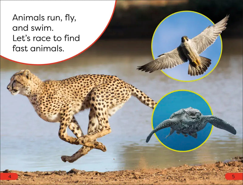 DK Super Readers Pre-Level Fast Animals US - Paperback / softback