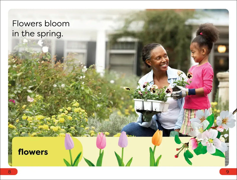 DK Super Readers Pre-Level Seasons US - Paperback / softback