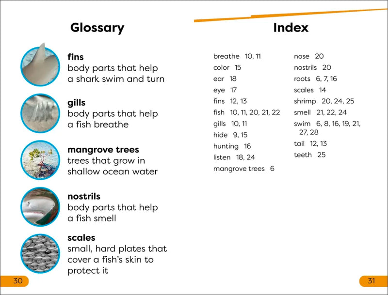 DK Super Readers Level 1 Life of a Baby Lemon Shark US - Hardback