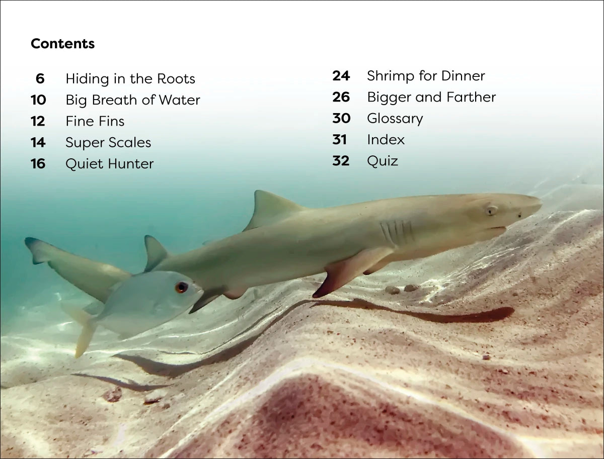 DK Super Readers Level 1 Life of a Baby Lemon Shark US - Paperback / softback