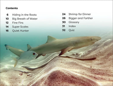 DK Super Readers Level 1 Life of a Baby Lemon Shark US - Paperback / softback