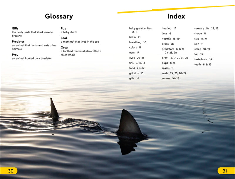 DK Super Readers Level 2 Great White Sharks US - Hardback