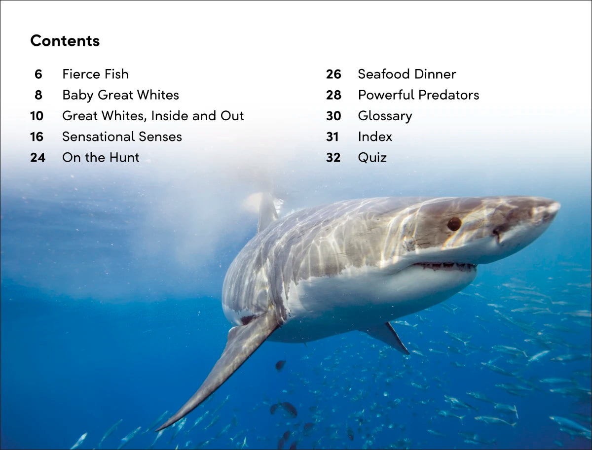 DK Super Readers Level 2 Great White Sharks US - Hardback