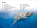 DK Super Readers Level 2 Great White Sharks US - Hardback