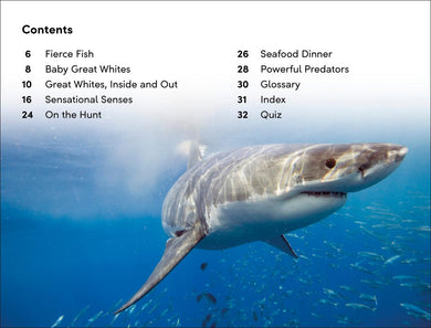 DK Super Readers Level 2 Great White Sharks US - Paperback / softback