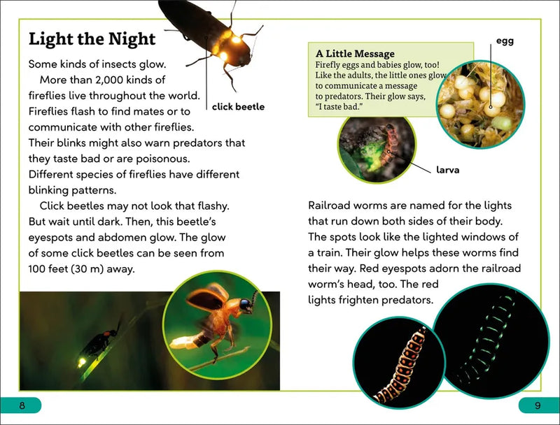 DK Super Readers Level 3 Bioluminescent Animals US - Hardback