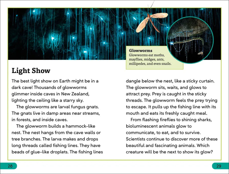 DK Super Readers Level 3 Bioluminescent Animals US - Hardback