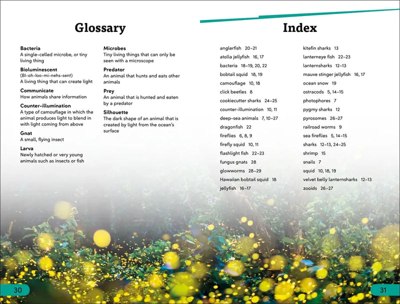 DK Super Readers Level 3 Bioluminescent Animals US - Hardback