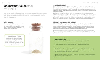 Cannabis US - Paperback / softback