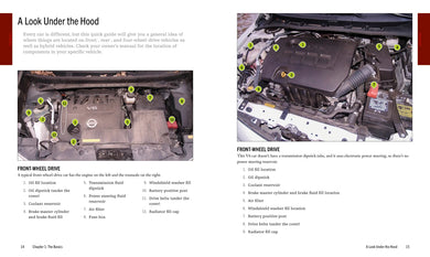 Auto Repair & Maintenance for Beginners US - Paperback / softback
