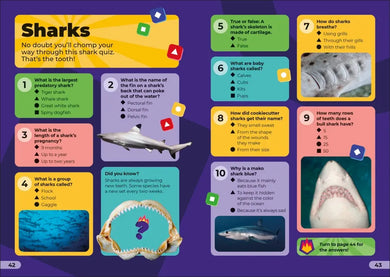 Kahoot! Quiz Time Animals US - Paperback / softback
