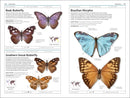 Butterflies and Moths US - Book