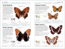 Butterflies and Moths US - Book