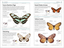 Butterflies and Moths US - Book